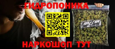 шишки Обь