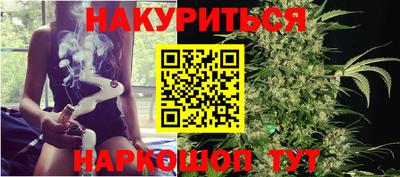 шишки Обь