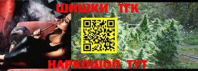 шишки Обь