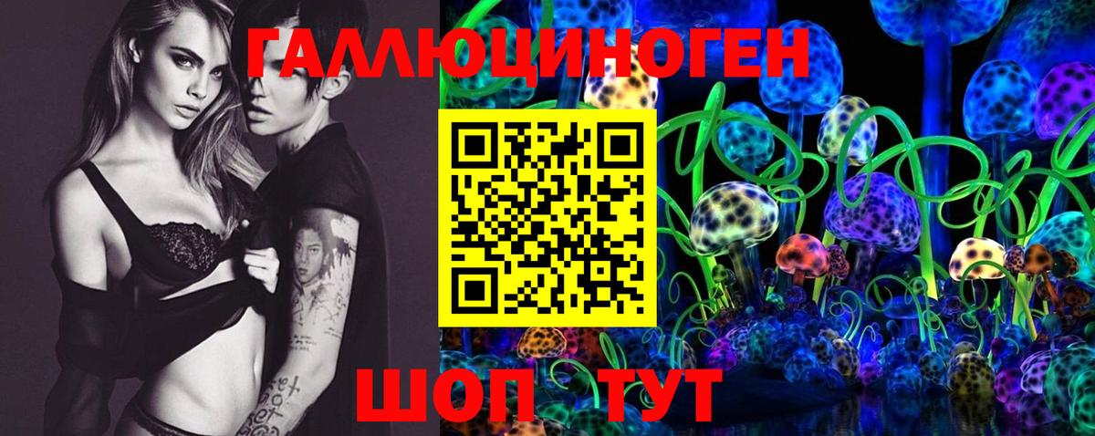 Галлюциногенные грибы GOLDEN TEACHER Новороссийск