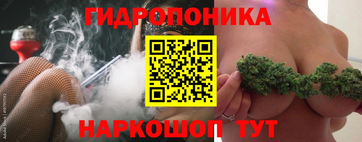 Конопля планчик Новороссийск
